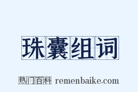 珠囊组词是什么意思的图片